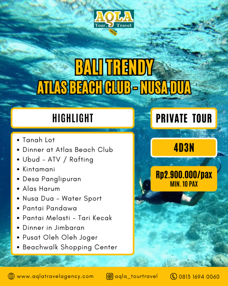 private_tour_bali